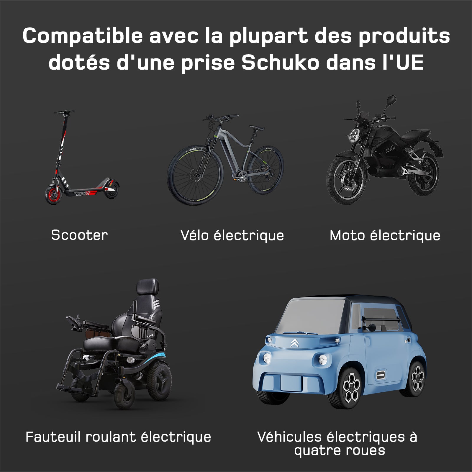 Adaptateur Type 2 vers Schuko - prise de charge pour voiture électrique