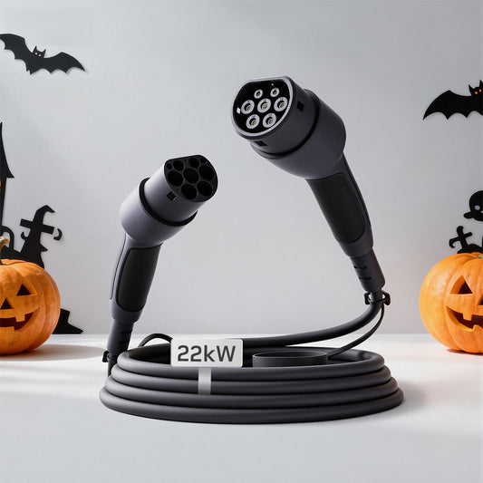 dé Câble de Recharge type 2 22kW